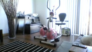 PINK Sunny brand Elliptical Trainer and also Recumbent Bicycle